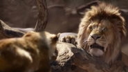 Lionking2019-animationscreencaps.com-4891