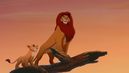 Lion-king2-disneyscreencaps.com-2063