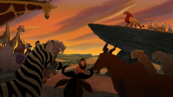 Lion-king2-disneyscreencaps