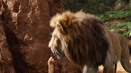 Lionking2019-animationscreencaps.com-8042