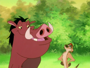 MMMF Timon & Pumbaa26