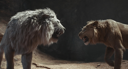 Mufasa-animationscreencaps.com-12867