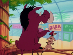 Shopping Timon & Pumbaa9