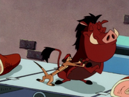 DCC Timon & Pumbaa20