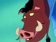 KC Pumbaa5