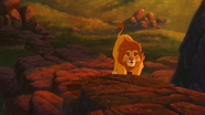 Lion-king2-disneyscreencaps.com-2127