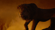 Lionking2019-animationscreencaps.com-12082