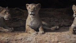 Lionking2019-animationscreencaps.com-7276