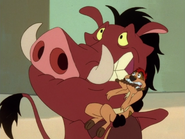 IB Timon & Pumbaa15