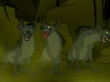 Hyenas/Gallery