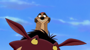 Lion-king2-disneyscreencaps.com-333