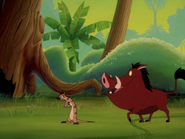 NE Timon & Pumbaa11