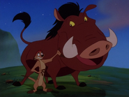 TSIC Timon & Pumbaa63