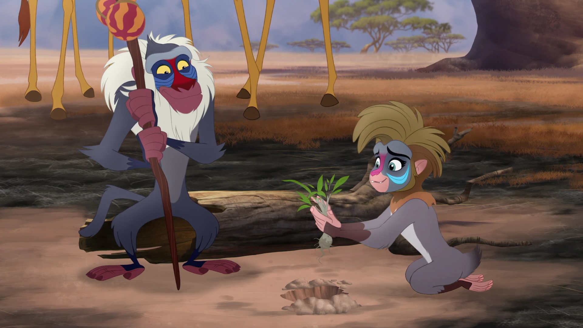 lion king characters rafiki