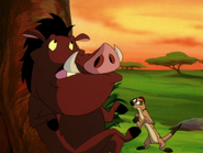 SD Timon & Pumbaa4