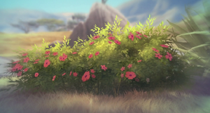 Ponya flowers
