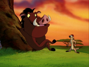 SD Timon & Pumbaa