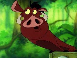 HIWTHI Pumbaa4