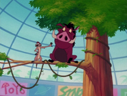 Shopping Timon & Pumbaa10