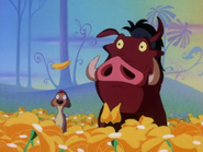 BITJ Timon & Pumbaa7