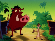 BR Timon & Pumbaa2