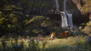 Lionking2019-animationscreencaps.com-9378