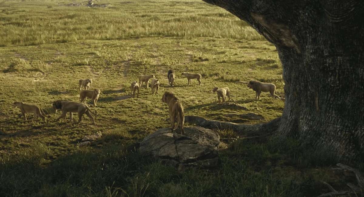 Obasi's pride | The Lion King Wiki | Fandom