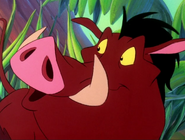 PP Pumbaa8