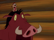 YR Timon & Pumbaa14