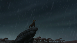 Lion-king2-disneyscreencaps