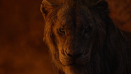 Lionking2019-animationscreencaps.com-11982