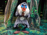 Rafiki's Planet Watch