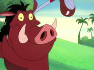 W Pumbaa11