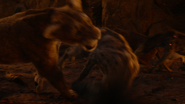 Lionking2019-animationscreencaps.com-11970