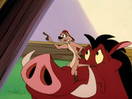 SM Timon & Pumbaa13