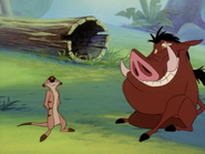 SOTS Timon & Pumbaa5