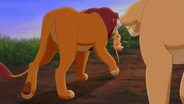 Lion-king2-disneyscreencaps.com-1678