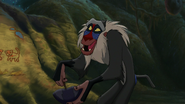 Lion-king2-disneyscreencaps.com-2975