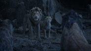 Lionking2019-animationscreencaps.com-11312