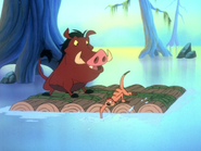 OB Timon & Pumbaa9