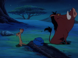 TSIC Timon & Pumbaa20