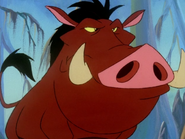 OB Pumbaa10