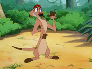 UBAE Timon