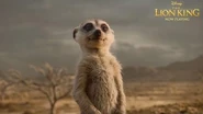 An official TV spot for The Lion King