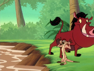 BGD Timon & Pumbaa33