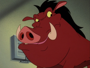 EFN Pumbaa17