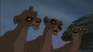 Lion-king2-disneyscreencaps.com-8486