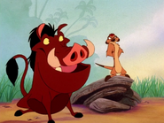 COLT Timon & Pumbaa19