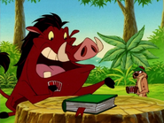 DCC Timon & Pumbaa5