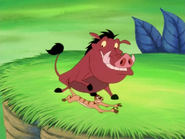 MMMF Timon & Pumbaa2